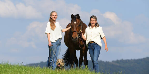 ... dem Pferd zuliebe !